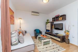 salon z kanapą i telewizorem w obiekcie Apartment Teri w mieście Nova Vas