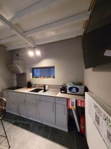 eine Küche mit einer Spüle und einer Theke in der Unterkunft Natuurschoon Vakantiewoning Moorsel in Moorsel
