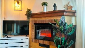 TV a/nebo společenská místnost v ubytování Apartament turistic Pont d’Ordino