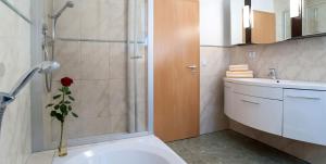 a bathroom with a shower and a toilet and a sink at Gasthof Sauerteig in Rödental
