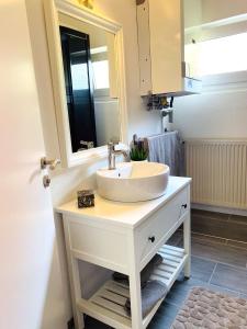 a bathroom with a sink and a mirror at Ferienhäuser Insel Usedom Haus Jojo 7 - Blick aufs Achterwasser! Whirlpool und Sauna in Lütow