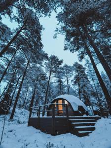 una tienda de campaña en la nieve en un bosque en Pokemaja Nõva männimetsas en Rannaküla