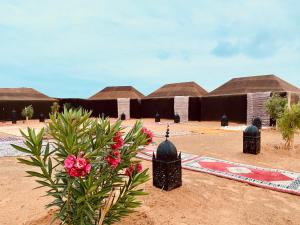 a row of huts with flowers in front of them at Sahara wellness camp in Merzouga