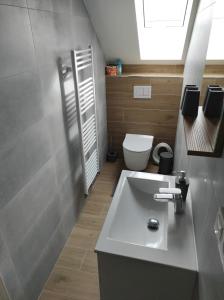 a bathroom with a white sink and a toilet at Apartmán Frymburk 700 in Frymburk
