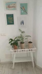 Fotografia z galérie ubytovania Atico deluxe en el centro by Lets Malaga v destinácii Málaga