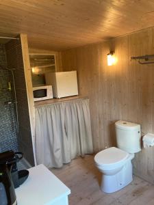 y baño con aseo y microondas. en Domaine de Thyllères,Chalets Voilier, en Beaufour