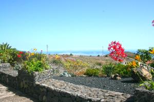 einen Garten mit Blumen und einer Steinmauer in der Unterkunft Sara in Puntallana
