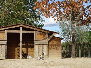 a barn with a wooden fence and a dog in it at Campanile Val de France in Magny-le-Hongre