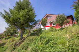 a house on the side of a hill with trees at Haus Sonnenhang in Friesenheim