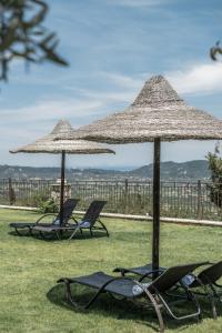 two lawn chairs and umbrellas in the grass at Agrikia Villa in Langadhákia