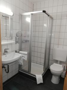 a bathroom with a shower and a toilet and a sink at Der Prinsenhof in Porta Westfalica