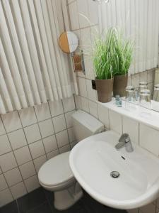 a bathroom with a white toilet and a sink at Der Prinsenhof in Porta Westfalica