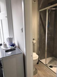 uma casa de banho com um WC e uma cabina de duche em vidro. em Amaryllis Guest House em Edimburgo