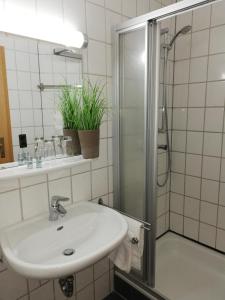 a bathroom with a sink and a shower at Der Prinsenhof in Porta Westfalica