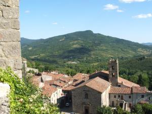 uma vista para uma cidade com uma montanha ao fundo em Agriturismo Fienile del Canalone em Santa Fiora