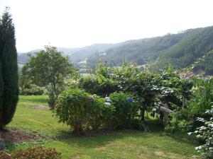 a garden with bushes and trees in a field at Casa El Trabeseo in San Martín de Luiña