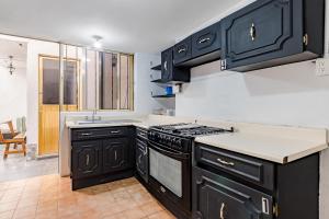 a kitchen with black cabinets and a stove top oven at Ayenda Los Colorines de Coyoacán in Mexico City