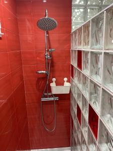 a shower in a red tiled bathroom at ANARAL-Casco Viejo Gijon-AUTOCHECK 24h in Gijón