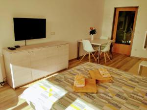 uma sala de estar com uma cama e uma televisão de ecrã plano em Apartma MAX em Moravske-Toplice