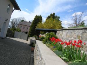 Vonkajšia záhrada v ubytovaní Casa Andelka