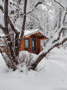 Hatcher Pass Cabins v zimě
