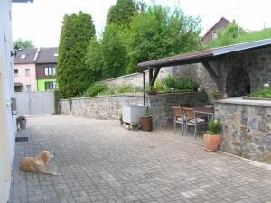 Domáce zviera alebo zvieratá hostí v ubytovaní Casa Andelka