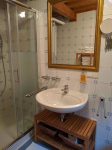 a bathroom with a sink and a shower at Ferienhaus Pfarrerweinzerl in absoluter Ruhelage mit Pool in Kitzeck im Sausal