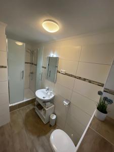 uma casa de banho com um WC, um lavatório e um chuveiro em Hotel Kolossos Düsseldorf - Neuss em Neuss