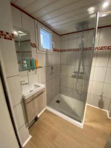 a bathroom with a shower and a sink at Résidence confortable au calme quartier St Marceau in Orléans +9 photos