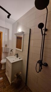 a bathroom with a white sink and a shower at Vila Panselutelor 6 in Sinaia +22 photos