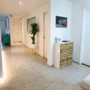 Gallery image of Hotel Downtown Merida in Mérida