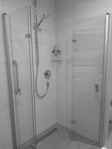 a shower stall with a glass door with a basketball at FERIENWOHNUNG BAD DRIBURG in Bad Driburg