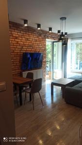 Μια τηλεόραση ή/και κέντρο ψυχαγωγίας στο Apartament SZWED-POL