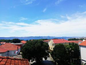 Příroda nedaleko penzionu