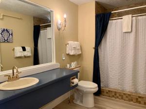 a bathroom with a sink and a toilet and a mirror at Hotel Frankfort & Restaurant in Frankfort