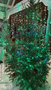 Un árbol de Navidad con luces verdes. en Hotel in Kolomna, en Kolomna