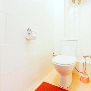 een badkamer met een wit toilet en een rood tapijt bij 1 room 50m2 center of Obolon near River side. Dream Town in Kiev