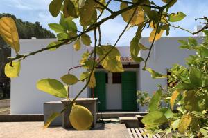 Vonkajšia záhrada v ubytovaní Casa rural Can Pep de Sa Barda - Entre viñedos - Formentera Natural