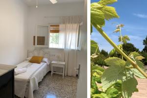 Vonkajšia záhrada v ubytovaní Casa rural Can Pep de Sa Barda - Entre viñedos - Formentera Natural