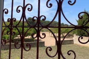 Vonkajšia záhrada v ubytovaní Casa rural Can Pep de Sa Barda - Entre viñedos - Formentera Natural