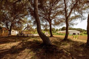 Vonkajšia záhrada v ubytovaní Casa rural Can Pep de Sa Barda - Entre viñedos - Formentera Natural