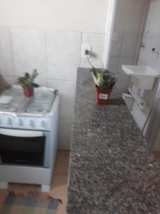 a kitchen with a counter with two potted plants on it at Casa Verde in Tamoios