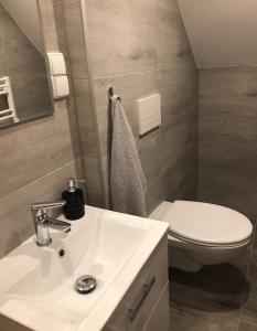 Kúpeľňa v ubytovaní Apartament przy Parku Zdrojowym