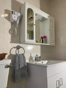 a bathroom with a sink and a mirror at Nore View House in Kilkenny
