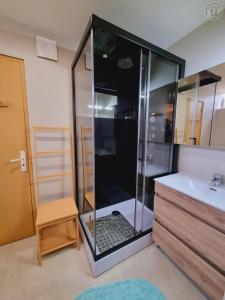 a bathroom with a shower and a sink at Le Dom’Aisne à Zabeth, lieu simple et paisible *** in Chevregny