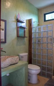bagno con servizi igienici e parete in vetro. di Apartamentos Del Mar El Cuyo a El Cuyo