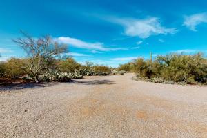 an empty road in the desert with trees and bushes at Lazy C Ranch in Tucson