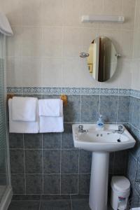 Phòng tắm tại Seacourt Accommodation Tramore - Adult Only