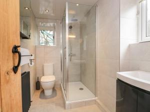 a bathroom with a shower and a toilet and a sink at Dalesway Cottage in Windermere +18 photos