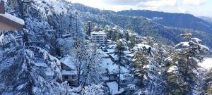 Photo de la galerie de l'établissement Wintry homes 5 Bhk Villa, à Shimla